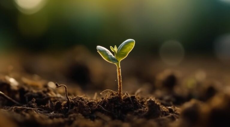 Amplifying Bold Voices: Why InkSpire Publishing is the Change the Literary World Needs